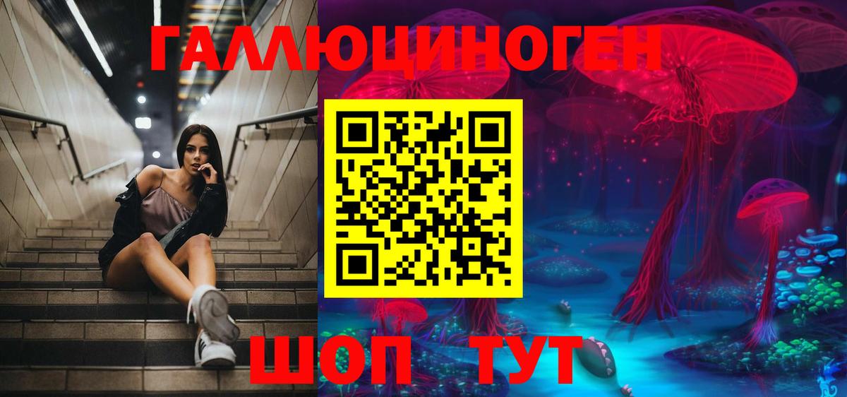 Галлюциногенные грибы мицелий Донецк